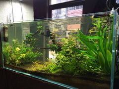 百好乐比萨-百好乐宠物友好餐厅(朝外大街店)