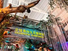 -正佳雨林生态植物园