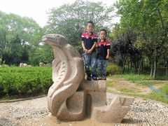 -诸城市恐龙博物馆