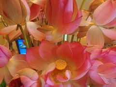 -福建鲤鱼洲酒店