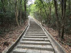 -广州白江湖森林公园