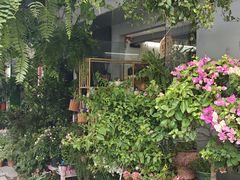 -溪岸路花鸟市场