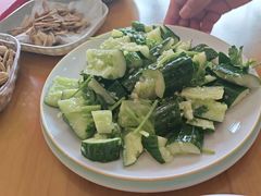 拍黄瓜-鹤乡东北菜(崮山路店)