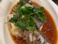 清蒸鲈鱼-T11生鲜超市(朝阳公园店)
