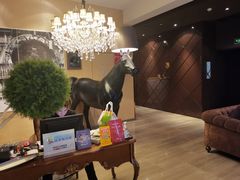 -苏浙总会(国金中心店)