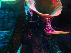 -沈阳海洋探索中心