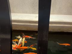 -龙悦湾酒家·八阵鱼生·渔人码头店