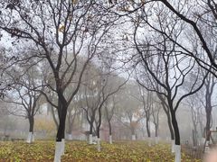 -济南植物园