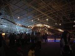 -世界恐龙谷景区