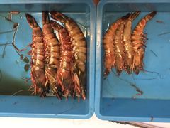-ZF Seafood Restaurant 卓峰海鲜餐