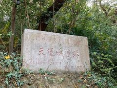-紫金山天文台