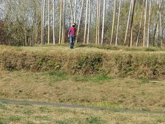 -白鹭湾湿地公园