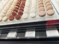-BLACKSWAN黑天鹅(环球店)