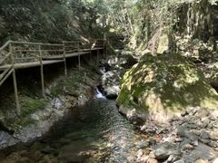 -东天目山风景区