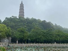 -顺峰山公园