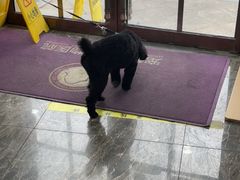 -宠爱国际动物医院·消化内科·心肾内科·ISFM猫友好(望京店)