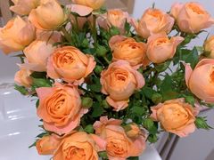 -循礼门鲜花花市(武汉循礼门店)