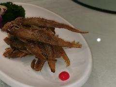 -金米箩大酒店(五角场店)