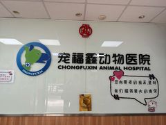 -宠福鑫动物医院(城北分院)