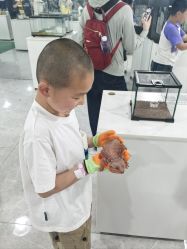点击看大图 -神奇动物撸宠馆·羊驼·小浣熊·异宠(豫园店)