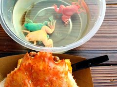 -锦江乐园舞狸花花游园会(夜场专享)