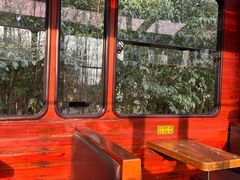 -合肥滨湖国家森林公园