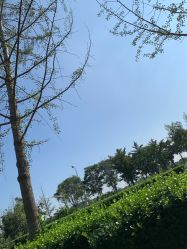 -HEYAN长风荷妍专业脱毛美肤
