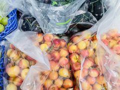 -西郊国际农产品交易中心