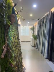 -北京炫美医疗美容
