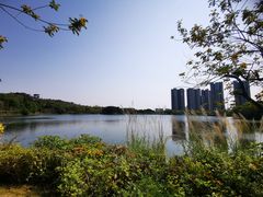 -广东花都湖国家湿地公园