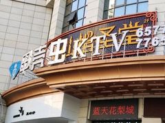 -宝岛甲壳虫KTV(蓝天路店)