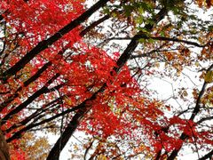 -丹东市五龙山风景区