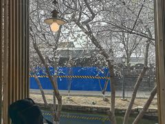 -春风习习