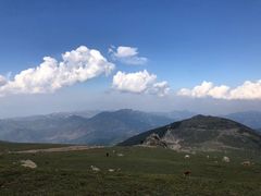 -灵山