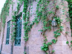 -疯克大象美式烤肉餐厅