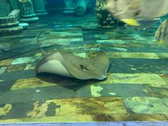 -梦幻海洋王国(吾悦广场张家港店)