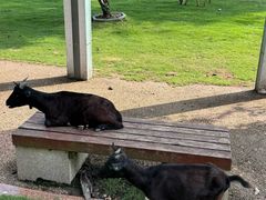 -东南花都花博园