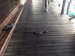 iphone_upload_pic-卡帕莱度假村(西巴丹岛)