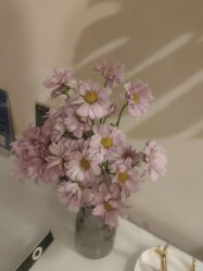 -臻悦医疗美容整形门诊部