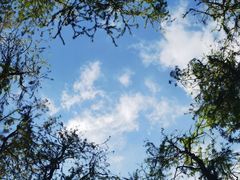 -星巴克(香港名都店)