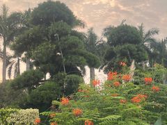 -顺峰山公园