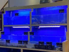 -威海渔村(静安旗舰店)