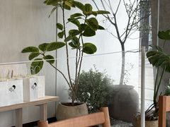 -喜茶(珠海华发商都店)