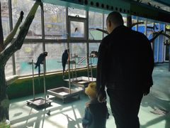 -廊坊市自然公园