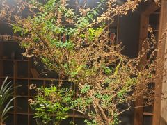 -邈墨茶馆(大兜路1号店)