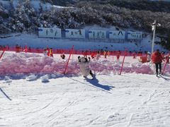 -太子岭滑雪场
