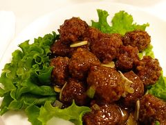 焦溜鸭肉丸子-九花山烤鸭店