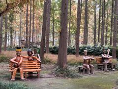 -黄海国家森林公园