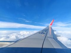 -威海大水泊国际机场