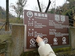-都江堰中华大熊猫苑